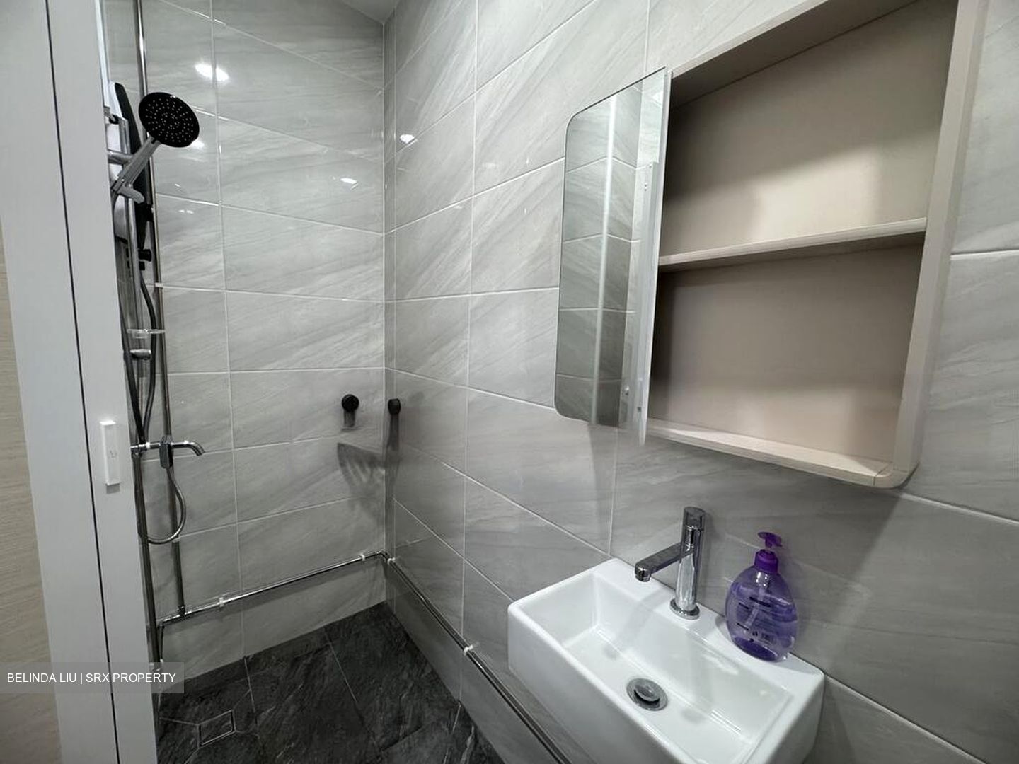 Lakepoint Condominium (D22), Condominium #496104371